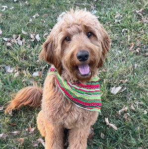 Meet your Posher, Elizabeth